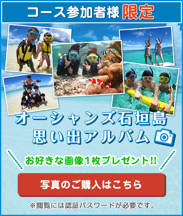 石垣島の体験ダイビングなら半日7 700円 のオーシャンズ石垣島